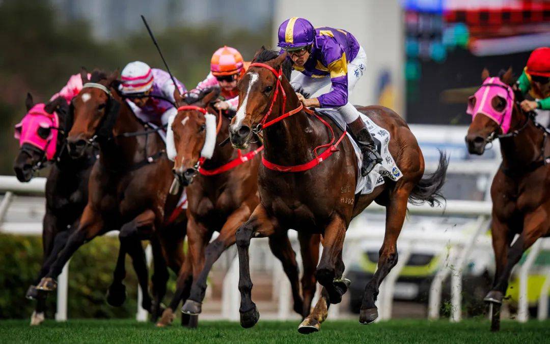 香港賽馬，探索賽馬運(yùn)動(dòng)的激情與榮耀之地——7777788888的獨(dú)特魅力，香港賽馬，激情與榮耀的獨(dú)特魅力探索——777778賽馬運(yùn)動(dòng)之地