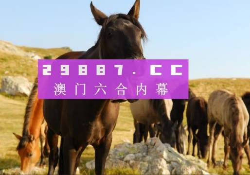 澳門管家婆一肖一碼一中一，揭秘與解析，澳門管家婆一肖一碼揭秘與解析