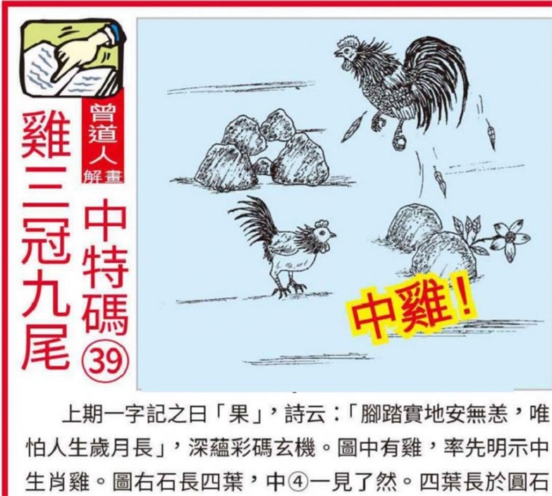 澳門2025全年資料大全正版資料權(quán)威指南，澳門2025全年正版權(quán)威指南，全面資料大全與權(quán)威解讀