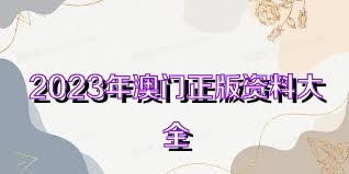 澳門資料大全正版資料查詢，探索澳門的文化與歷史深度之旅，澳門文化與歷史深度探索，正版資料大全及查詢指南