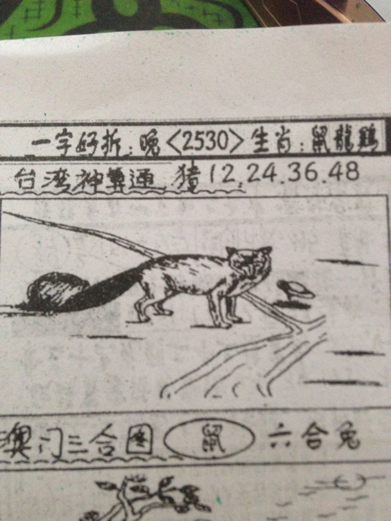 揭秘生肖奧秘，看圖猜一生肖劉伯溫的傳奇故事，揭秘生肖奧秘，劉伯溫傳奇故事中的生肖之謎探索