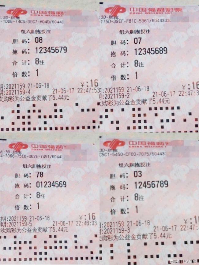 王中王四肖精選一肖新聞，揭秘背后的故事與趨勢，王中王四肖精選揭秘，背后的故事與趨勢聚焦一肖新聞