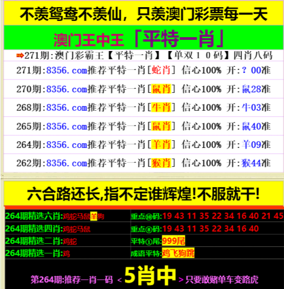 王中王資料一肖中特，深度解析與SEO優(yōu)化策略，王中王資料一肖中特深度解析與SEO優(yōu)化策略指南