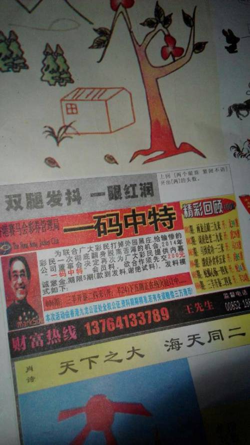 欲錢詩猜一肖——探尋王中王的奧秘，探尋王中王的奧秘，欲錢詩猜一肖
