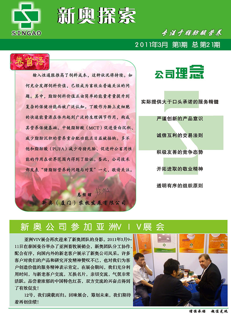 2025新澳正版資料精準(zhǔn)解析，2025新澳正版資料精準(zhǔn)解析手冊(cè)