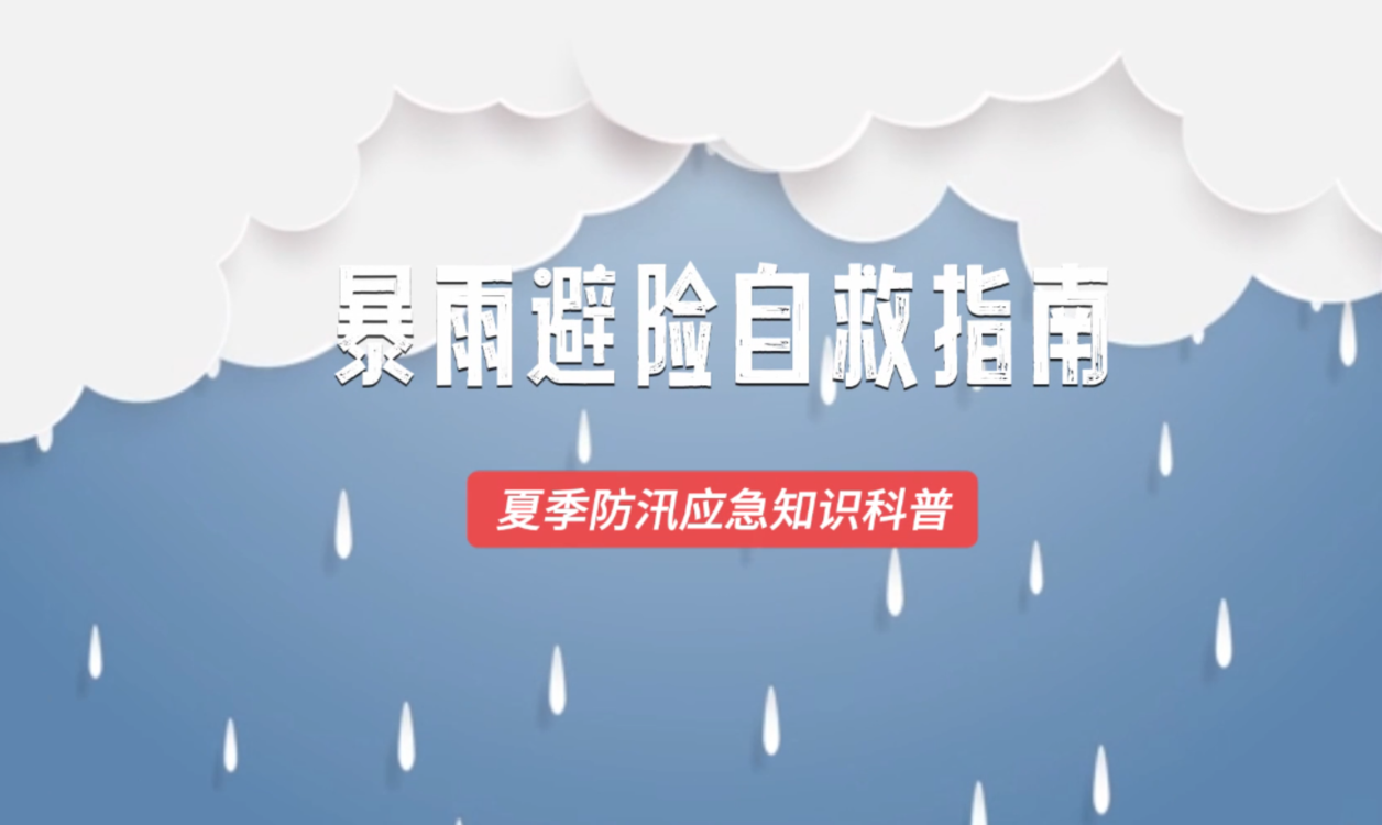 澳門六2023開獎結果詳解及預測分析，澳門六開獎結果詳解與預測分析（2023年）