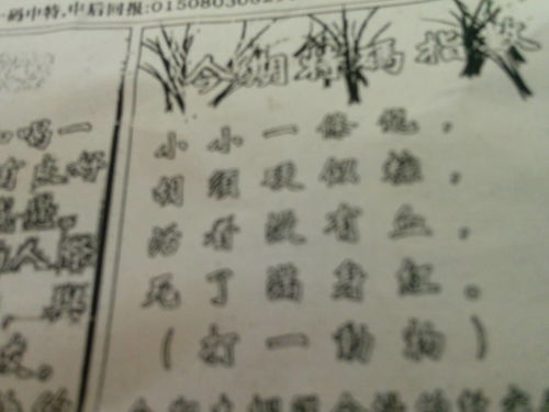 揭秘劉伯溫的一肖一特，探尋神秘傳奇背后的真相，劉伯溫傳奇揭秘，揭秘生肖之謎與獨(dú)特特質(zhì)背后的真相