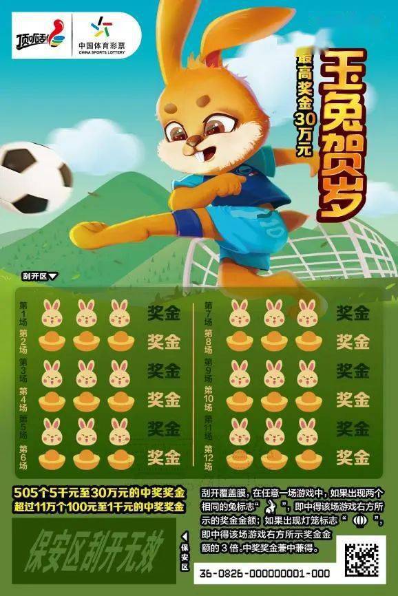 王中王一肖中特兔費(fèi)，探索關(guān)鍵詞背后的奧秘，探索關(guān)鍵詞王中王一肖中特兔費(fèi)背后的奧秘