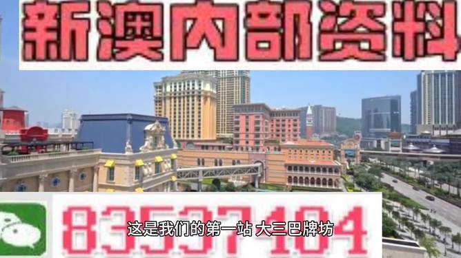 澳門正版免費全年資料大全旅游團，探索澳門之旅的完美選擇，澳門正版全年旅游資料大全，探索澳門之旅的首選旅游團