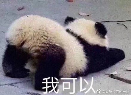 揭秘劉伯溫特一肖與四不像的神秘面紗——探尋背后的故事與真相，劉伯溫特一肖與四不像背后的故事與真相揭秘