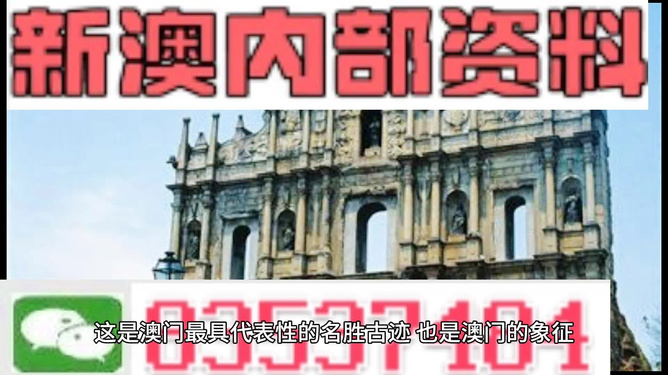 新澳門正版免費(fèi)資料查詢方法與技巧，澳門正版免費(fèi)資料查詢方法與技巧解析