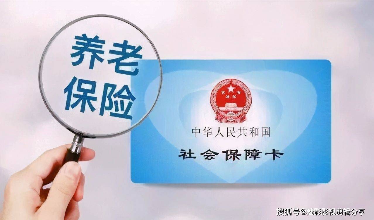 揭秘王中王一期一肖特中獎背后的秘密，王中王一期一肖特中獎背后的秘密揭秘