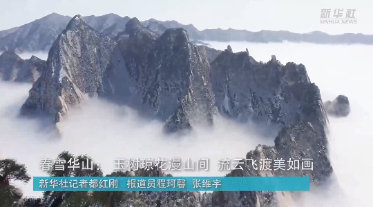 澳門最精準(zhǔn)龍門，探索真正的精準(zhǔn)之道，澳門最精準(zhǔn)龍門，揭秘真正的精準(zhǔn)之道