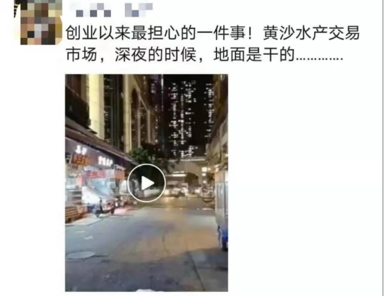 好料盡在王中王——揭秘生肖運勢的獨特魅力，揭秘生肖運勢獨特魅力，王中王好料大解密