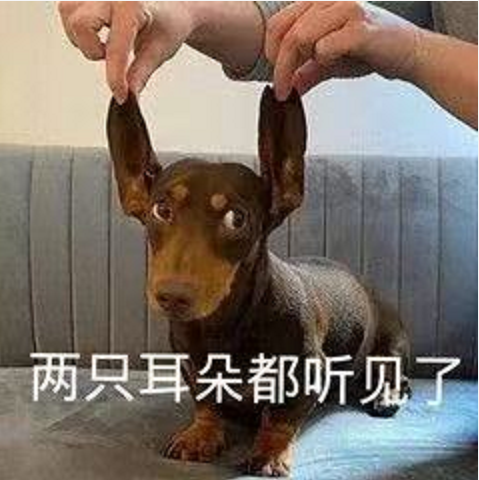王中王四不象必中一肖，揭秘背后的秘密與策略，揭秘王中王四不象必中一肖背后的秘密與策略之道