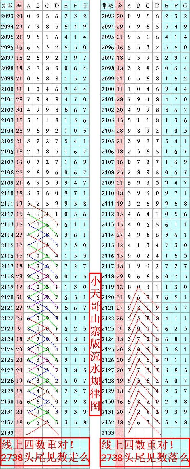 王中王資料一肖正特馬，深度解析與探索，王中王資料一肖正特馬深度解析與探索揭秘