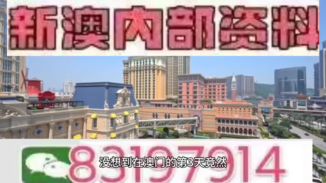 新澳門(mén)今晚必開(kāi)一肖一特，探索生肖與特碼的魅力，澳門(mén)生肖特碼探索，今晚必開(kāi)一肖一特之魅力