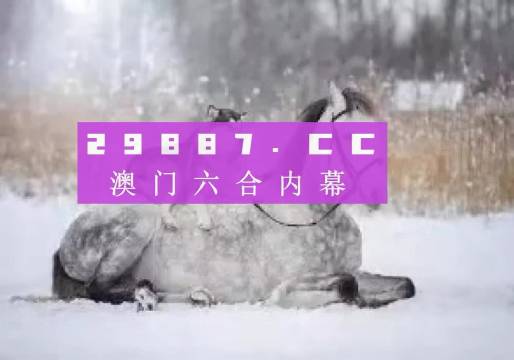 澳門正版精準(zhǔn)資料，探索未來的趨勢與機遇（2024年展望），澳門正版精準(zhǔn)資料揭秘，未來趨勢與機遇展望（2024年）