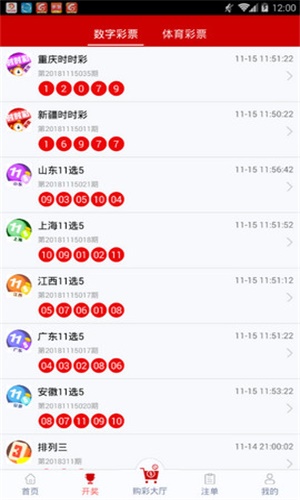 一碼一肖，揭秘背后的秘密與探索其獨(dú)特魅力，揭秘一碼一肖背后的秘密與獨(dú)特魅力探索