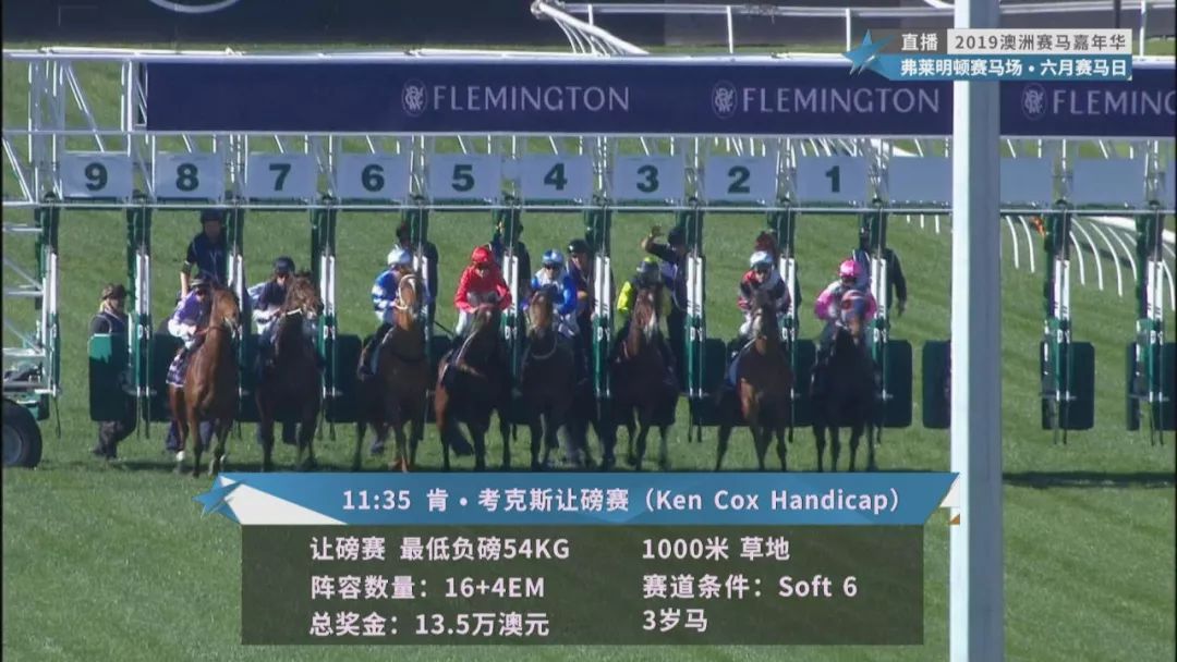 賽馬澳門六月開獎結(jié)果，探索與期待，澳門六月賽馬開獎揭曉，探索結(jié)果引期待