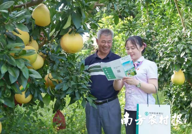 一站式獲取