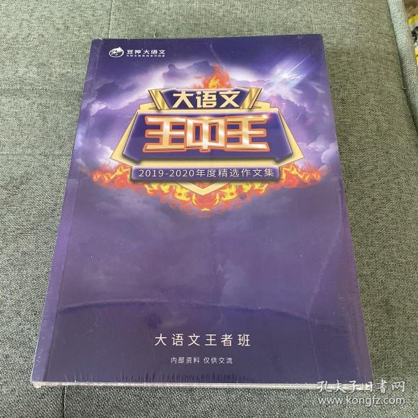 王中王資料2019一肖，揭秘生肖運(yùn)勢與特性，揭秘生肖運(yùn)勢與特性，王中王資料2019一肖解析