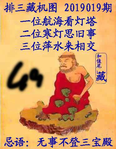 王中王019期指一生肖，深度解讀與SEO優(yōu)化策略，王中王019期生肖深度解讀與SEO策略優(yōu)化指南