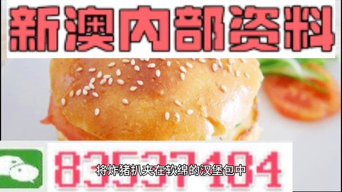 2025新澳正版資料精準(zhǔn)解析，2025新澳正版資料精準(zhǔn)解析手冊(cè)