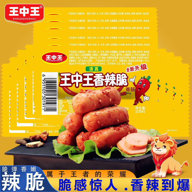 王中王資料一y肖中，深度解析與探索，王中王資料一y肖中深度解析與探索揭秘