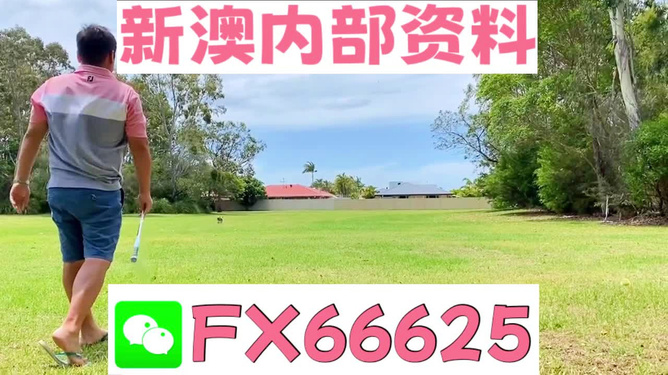 王中王一碼二肖，揭秘背后的秘密，揭秘王中王一碼二肖背后的秘密