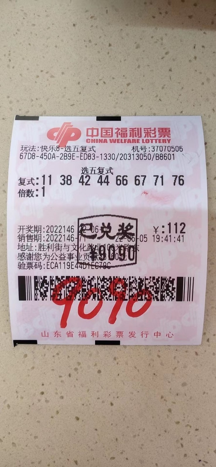 揭秘002期王中王平特一肖，背后的故事與奧秘，揭秘王中王平特一肖背后的故事與奧秘（第002期）