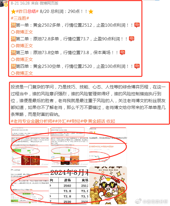 王中王富婆中一肖——揭秘背后的故事與真相，揭秘王中王富婆中一肖背后的真相與故事