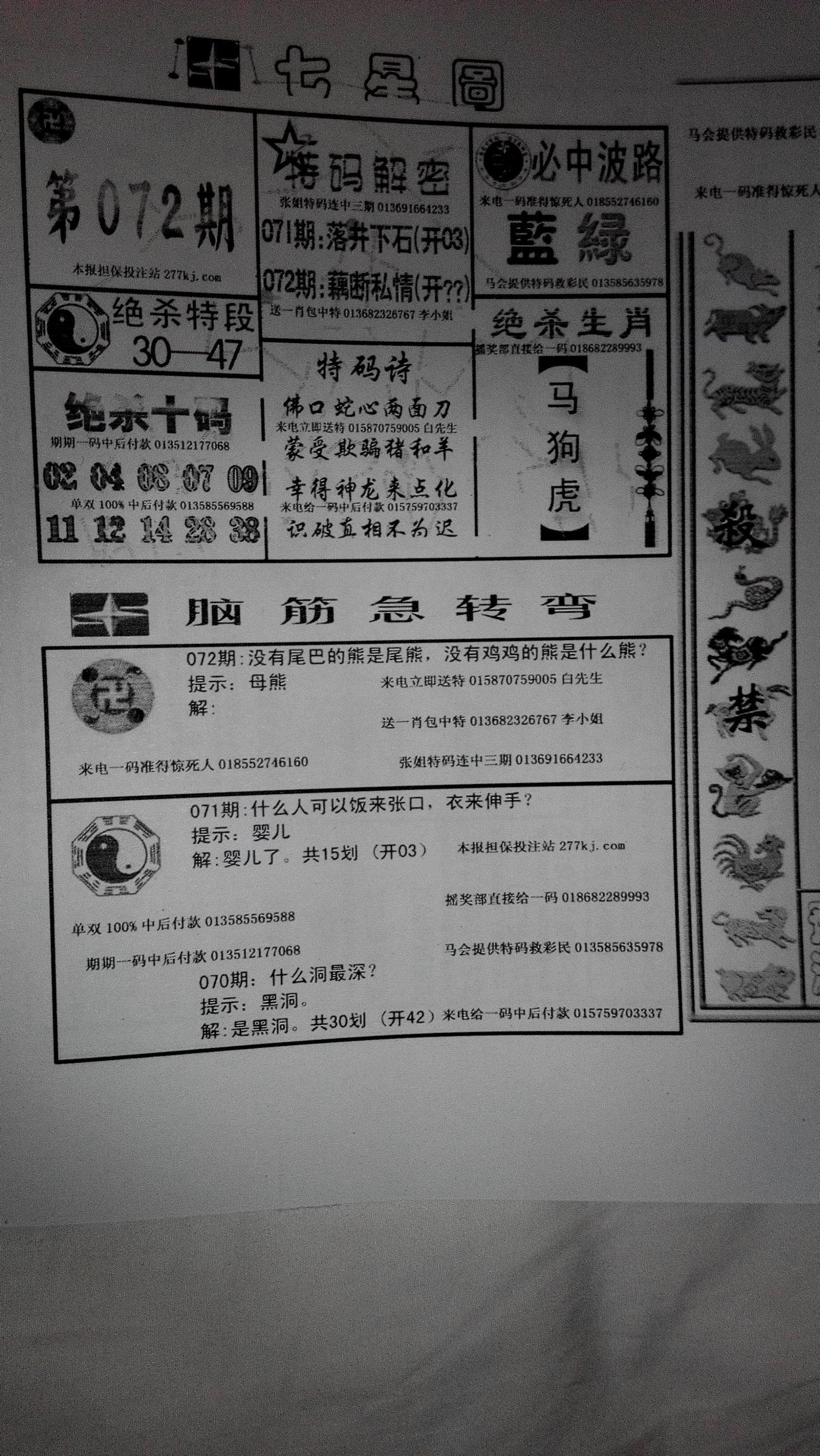 王中王211期指一生肖，深度解析與預(yù)測(cè)，王中王211期生肖深度解析與預(yù)測(cè)，揭秘未來(lái)走向