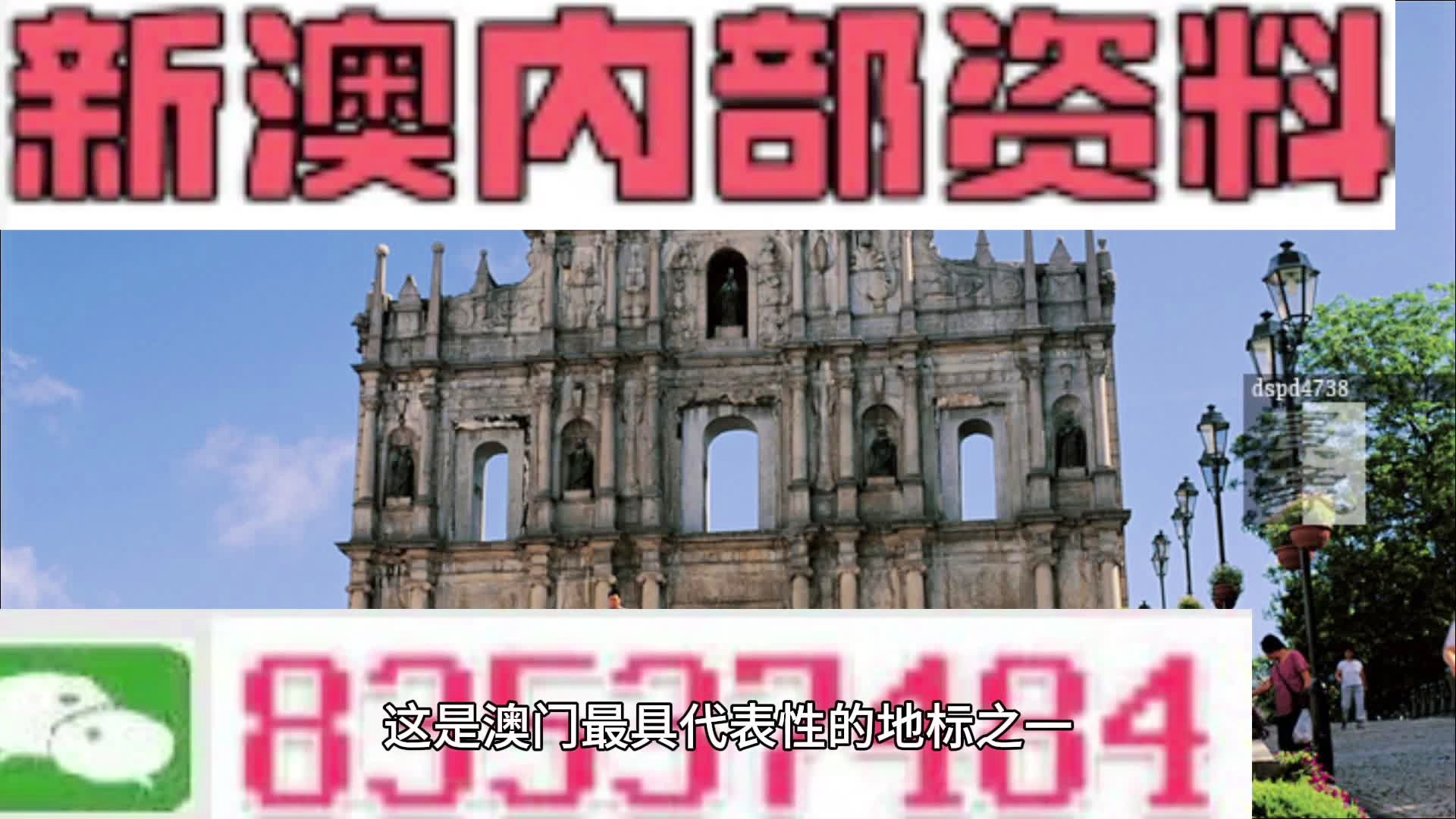 新澳門必中資料，揭秘博彩世界的秘密與策略，揭秘澳門博彩世界，必勝策略與秘密大解析