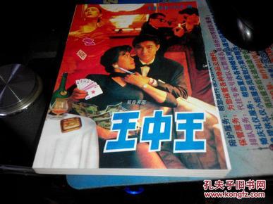 王中王資料一肖中特小說，深度解析與探索，王中王資料一肖中特小說的深度解析與探索之旅