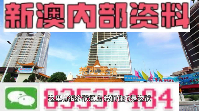 新澳門資料大全正版資料2025年免費，全面解析與最新資訊，澳門正版資料解析與最新資訊（2025年免費版）