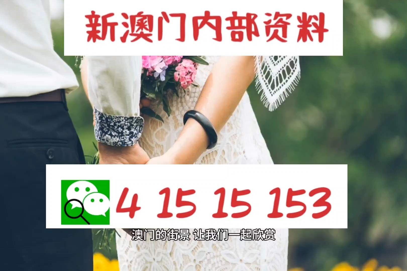 新澳精準(zhǔn)資料，深度解析與探索，新澳精準(zhǔn)資料深度解析與探索之旅