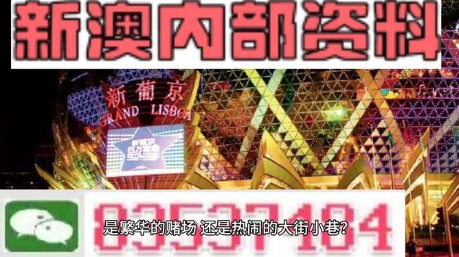 新澳門精準資料大全管家婆料，探索與解析，澳門精準資料大全解析，探索管家婆料內幕