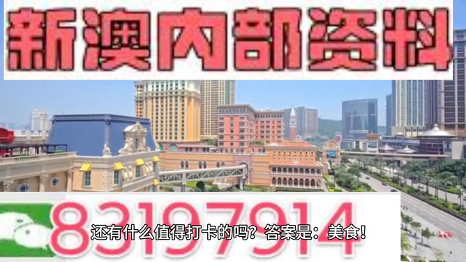 澳門彩天天免費精準資料，探索與解析，澳門彩天天免費精準資料解析與探索