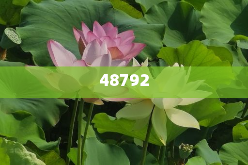 新奧彩免費提供，探索最佳彩票體驗之路，新奧彩免費體驗，探索最佳彩票之旅