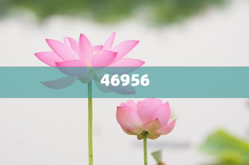 新奧集團(tuán)，邁向2025，天天開好彩的愿景與挑戰(zhàn)，新奧集團(tuán)邁向2025，實現(xiàn)天天開好彩的愿景與挑戰(zhàn)