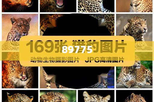 關(guān)于新奧歷史開獎(jiǎng)記錄的最新信息，今天公布了嗎？，新奧歷史開獎(jiǎng)記錄最新信息公布了嗎？