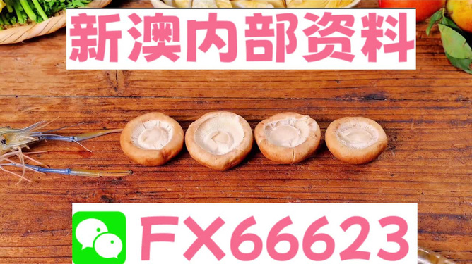 新澳正版資料免費(fèi)提供，全面解析與深度探索，新澳正版資料全面解析與深度探索，免費(fèi)提供的指南