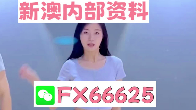 新澳門(mén)精準(zhǔn)資料大全——管家婆料解析與探索，澳門(mén)精準(zhǔn)資料大全，管家婆料解析與深度探索