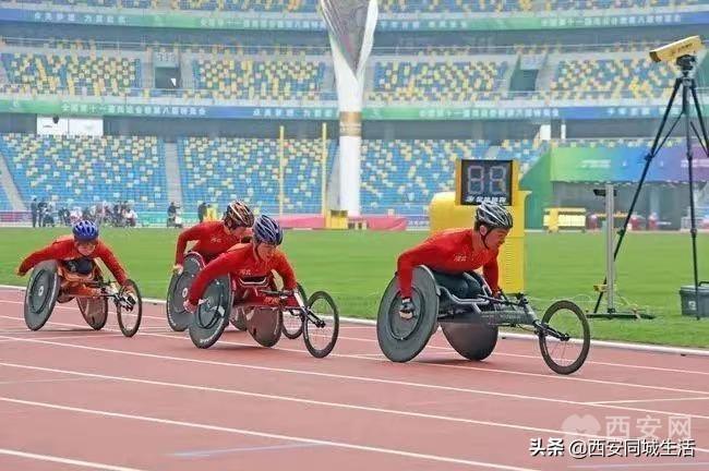 探索澳門未來，2025新澳門正版免費資本車展望，澳門未來展望，2025資本車正版免費探索之旅