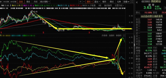 關于股票行情分析，聚焦代碼為000838的股票動態(tài)，股票行情分析，聚焦代碼為000838的股票走勢動態(tài)