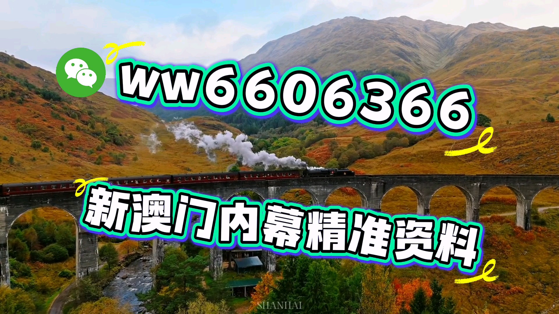 澳門一肖一碼期期準必開一肖，揭秘彩票背后的秘密與策略，揭秘澳門彩票背后的秘密策略與期期必開一肖的真相