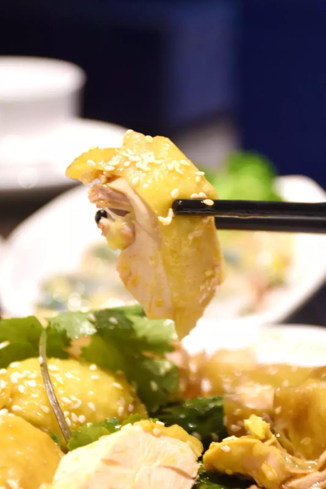 新澳門(mén)天天資料，探索澳門(mén)的魅力與活力，澳門(mén)魅力與活力探索，新澳門(mén)天天資料全解析