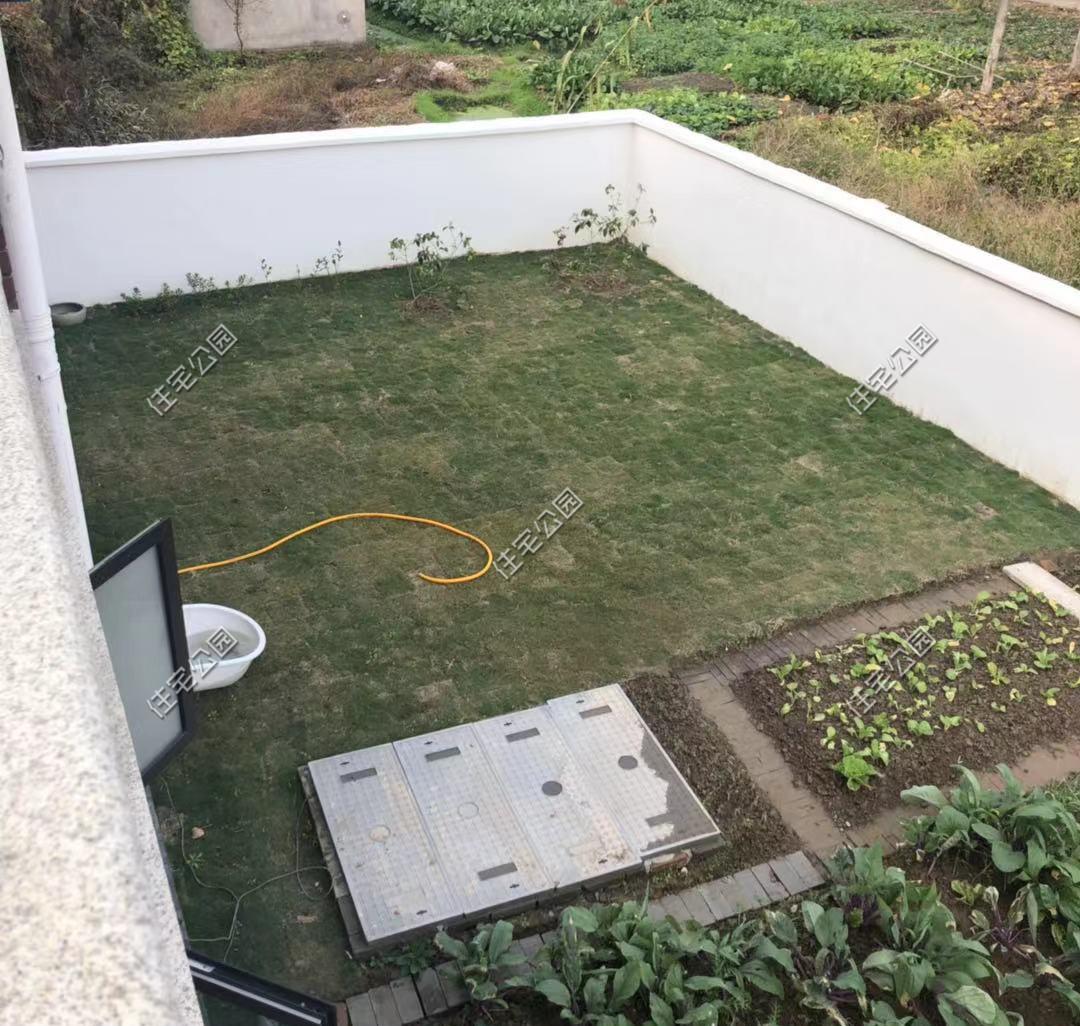 一肖中2碼，揭秘彩票背后的秘密與策略，揭秘彩票背后的策略與秘密，一肖中兩碼解析