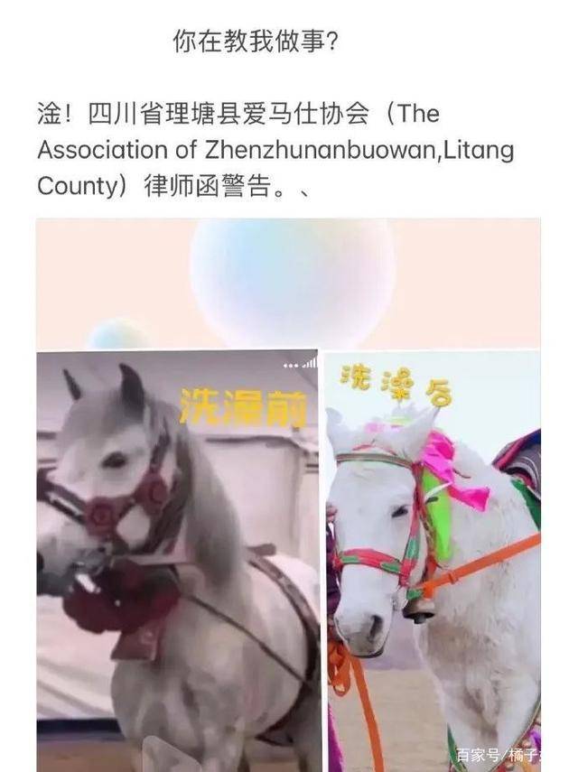 一馬爆特圖，揭秘背后的故事與SEO優(yōu)化策略，揭秘一馬爆特圖的背后故事與SEO優(yōu)化策略全攻略